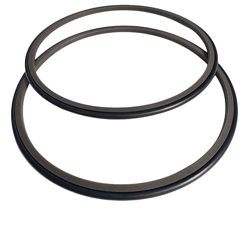 Two overlapping filled PTFE rotary shaft sealing rings on white